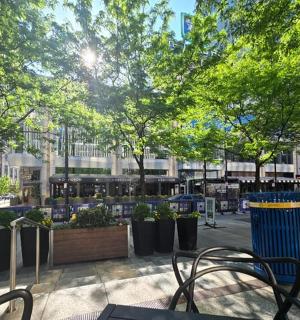 park s lavičkami a stromy ve městě