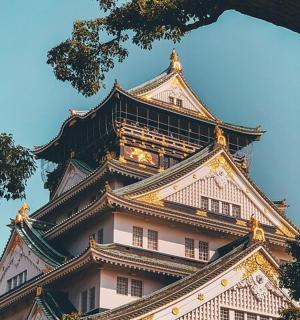 a tall building with a tree in front of it