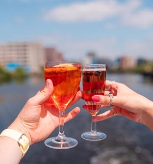 两个人拿着两杯酒