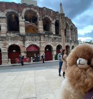 一只棕色的大泰迪熊坐在一栋建筑前