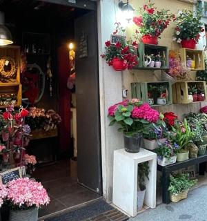 květinářství s květináči na zdi