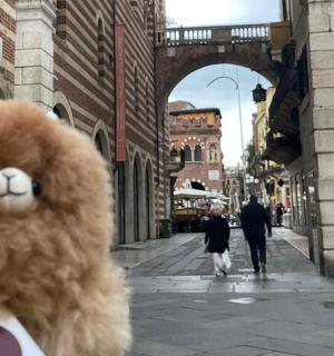 plyšový medvídek na ulici ve městě