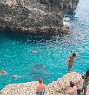 a group of people swimming in the water