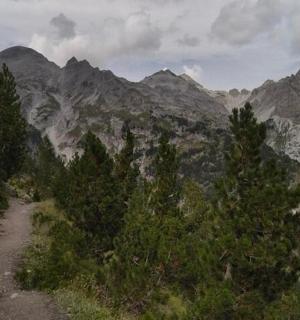 un chemin de terre devant une chaîne de montagnes