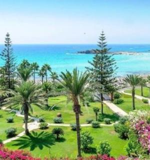 棕榈树和海洋公园的鸟瞰图