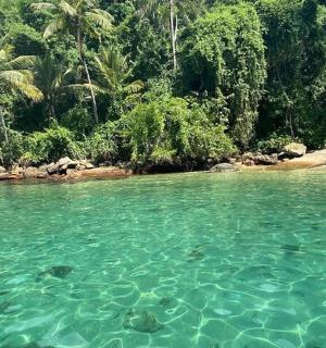 osoba plavající ve vodě poblíž pláže