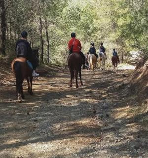 skupina lidí jedoucích na koních po prašné cestě
