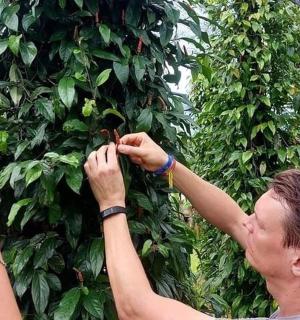 two people taking pictures of a plant with their phones