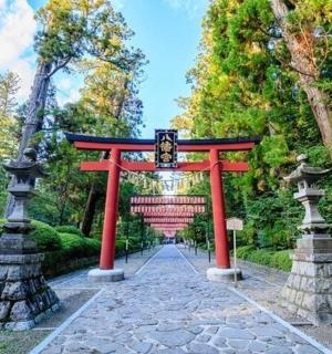 公园里树木繁茂的红色鸟居