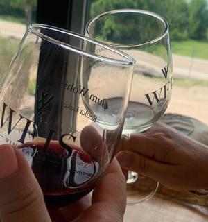 a person is holding a glass of wine