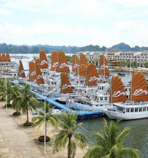 a bunch of boats with orange sails in the water
