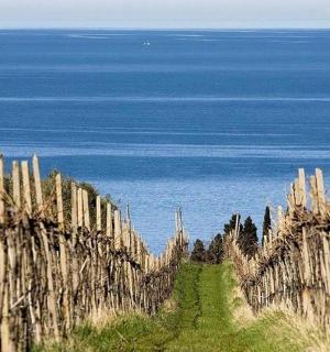 řada dřevěných plotů před oceánem