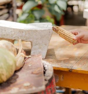 a person holding a piece of corn on a table