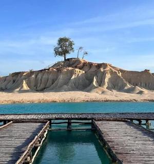 水中有一个码头,岛上有一棵树