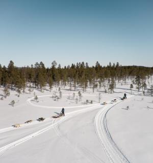 一群人在雪地里乘雪橇