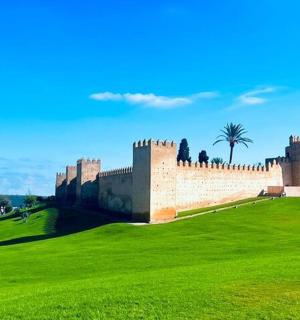 hrad na kopci se zeleným polem