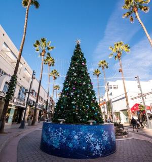 a christmas tree in the middle of a street