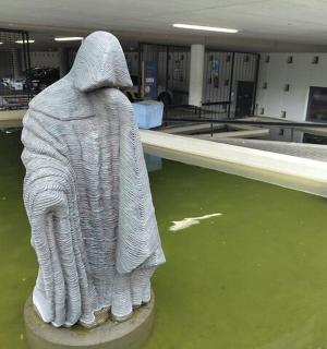 建筑物中的水中雕像