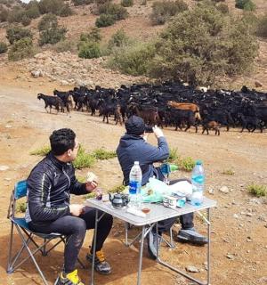 two men sitting at a table in front of a herd of goats