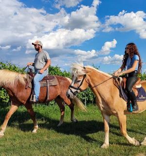 muž a žena jedoucí na koních v poli