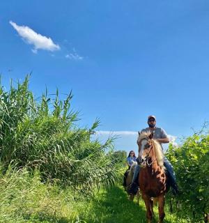 一名男子在田野里骑马