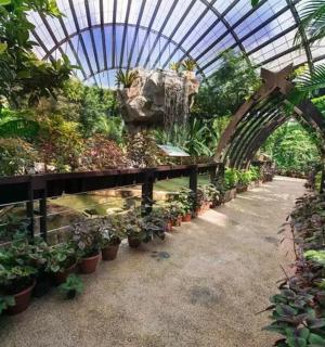 a greenhouse with a bunch of plants in it