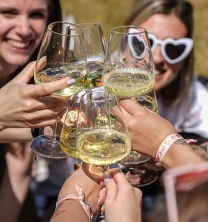 一群人举着酒杯