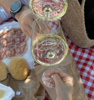 一个人在桌子前拿着酒杯