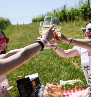 一群人举着酒杯