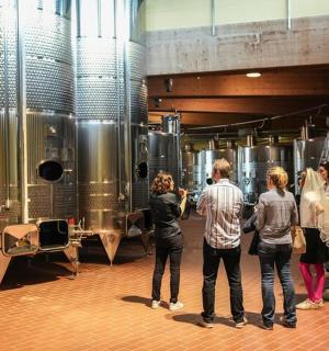 一群人站在带桶的酿酒厂里