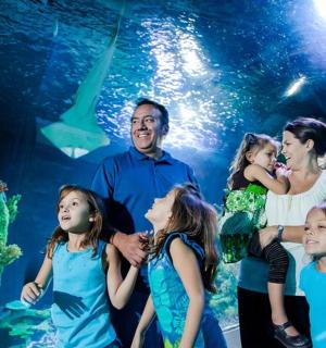 Un grupo de niños de pie frente a un acuario.