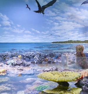 一幅描绘海洋珊瑚礁的画