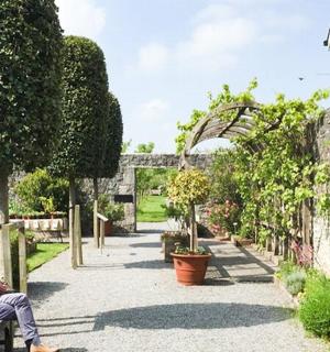 muž sedící na lavičce v zahradě