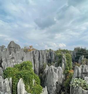 a large group of rocks and trees in a field