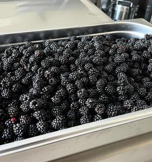 a metal pan filled with blackberries sitting on a counter