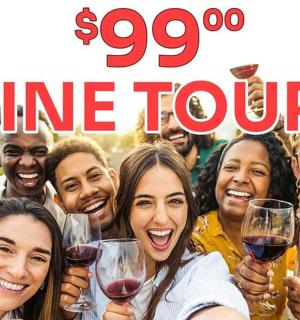 a poster of a group of people holding wine glasses