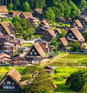 vesnice s domy na kopci se stromy