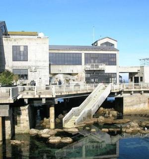 a dock with a slide in the water next to a building