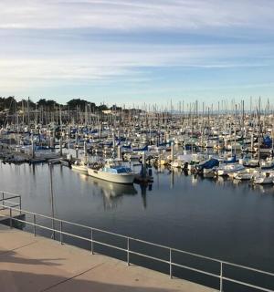 a bunch of boats docked in a harbor