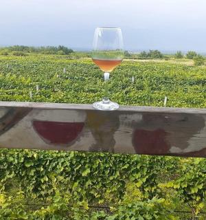 a glass of wine sitting on a bench in a field