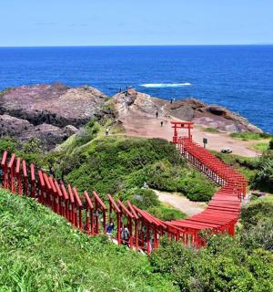 červený vlak na kopci poblíž oceánu