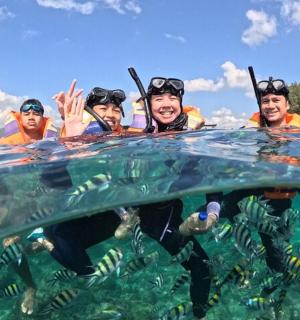 a group of people swimming in the water