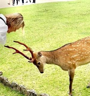 a woman is looking at a deer in a field