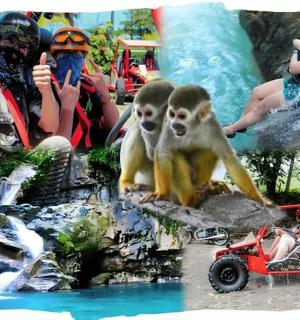 a collage of people and monkeys at a water park