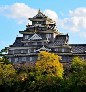 一些树顶上的一座大楼