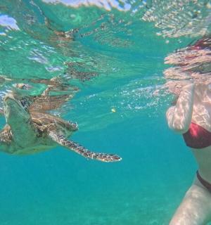 a person swimming in the water with a sea turtle