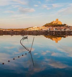 一群鸟坐在水中的绳子上