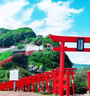 ein rotes Torii-Tor auf einem Hügel
