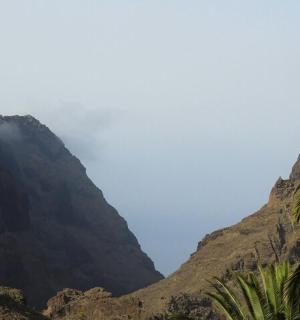 棕榈树环绕的山景