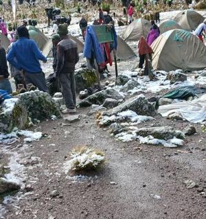 a group of people standing around a group of tents